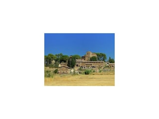 Ferienhaus Suvereto Umgebung 34