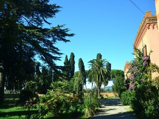 Maison de vacances Suvereto Environnement 35