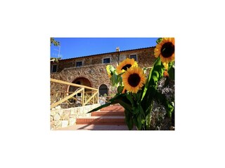 Casa de vacaciones Suvereto Grabación al aire libre 9