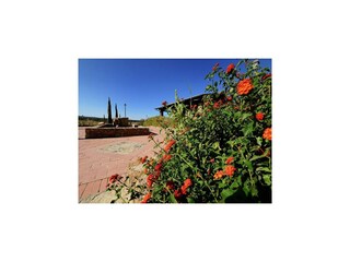 Holiday house Suvereto Outdoor Recording 4