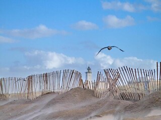 Vakantiepark Noordwijk Omgeving 42