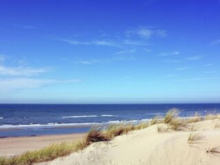 Vakantiepark Noordwijk Omgeving 17