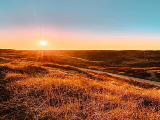 Vakantiepark Noordwijk Omgeving 51