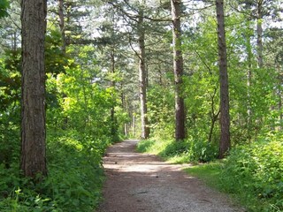 Vakantiepark Noordwijk Omgeving 31