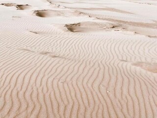 Vakantiepark Noordwijk Omgeving 22