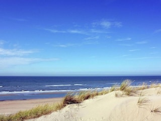 Parc de vacances Noordwijk Environnement 30