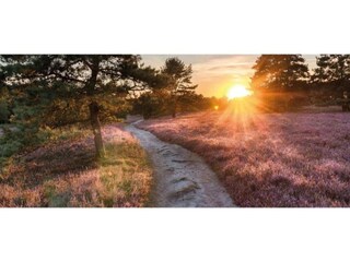 Vakantiehuis Uddel Omgeving 56