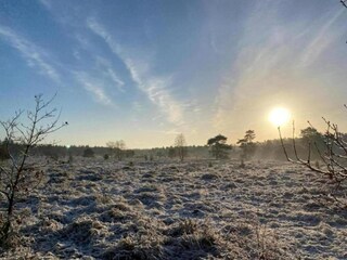 Vakantiehuis Uddel Omgeving 35