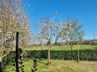 Casa de vacaciones Uddel Entorno 31