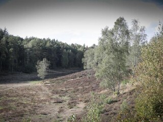 Vakantiehuis Uddel Omgeving 31