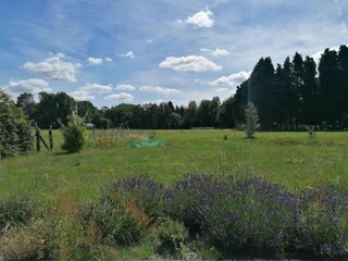 Vakantiehuis Uddel Omgeving 32