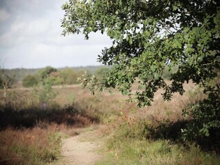 Vakantiehuis Uddel Omgeving 34