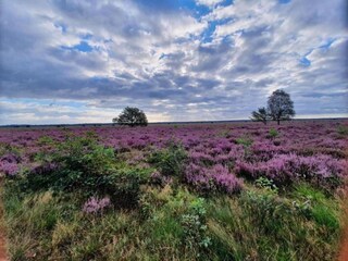 Vakantiehuis Uddel Omgeving 19