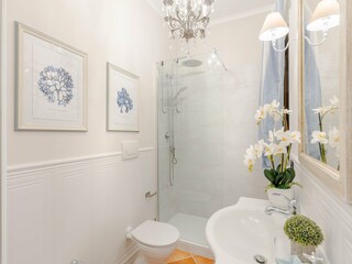 Villa Castelli Romani  60