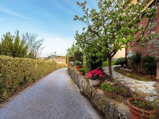 Villa Buggiano Castello  23