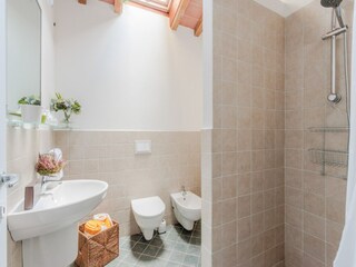 Type de propriété : Ferme Montecarlo  43