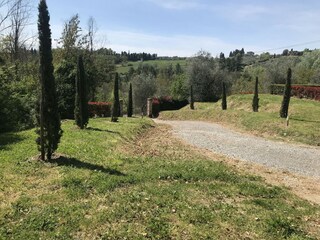 Type de propriété : Ferme Montecarlo  23