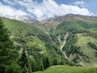 Umgebung