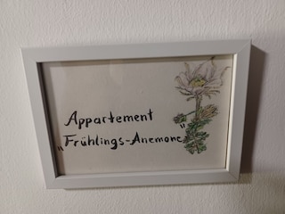 Appartement, max 5 Personen
