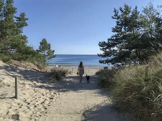 Urlaub mit Hund