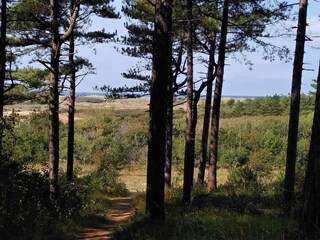 Düne und Wald Bergen aan Zee