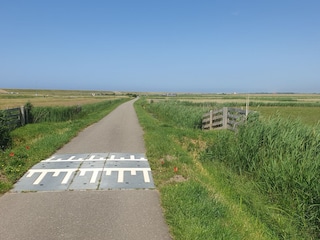 Polder