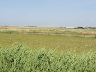 Polder