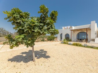 Villa Salve Umgebung 41