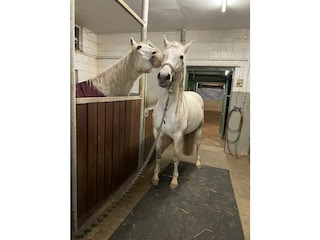 Stall