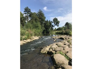 An der Bega kann man schön sitzen (gibt Bänke)