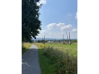Lemgoer Staffpark lädt zum Spazieren ein