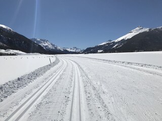 Täglich frisch präparierte Loipe