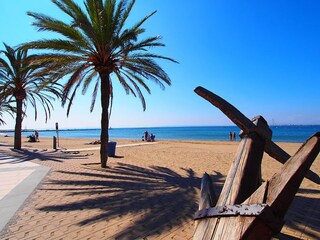 Apartment Roses Environment 30