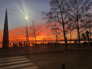 Apartment Roses Environment 24