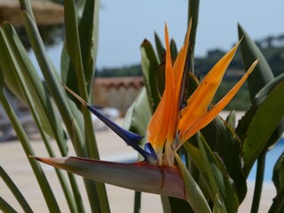 Tenuta Manacor Registrazione all'aperto 10