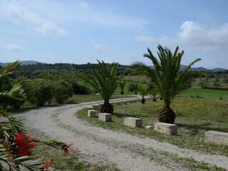 Finca Manacor Outdoor Recording 5