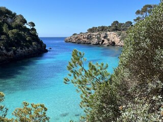 Tenuta Manacor Ambiente 33