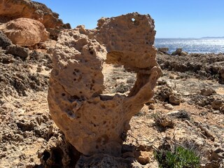 Tenuta Manacor Ambiente 35