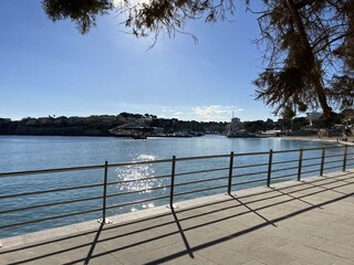 Tenuta Manacor Ambiente 36