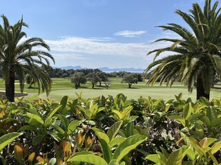 Club de Golf Alcanada