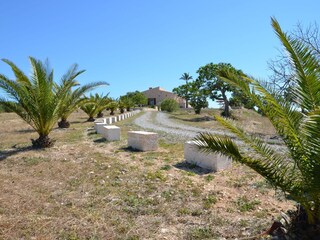 Tenuta Manacor Registrazione all'aperto 4