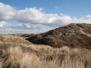 Ferienhaus Egmond aan Zee  14