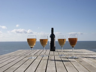 Holiday house Egmond aan Zee Outdoor Recording 24