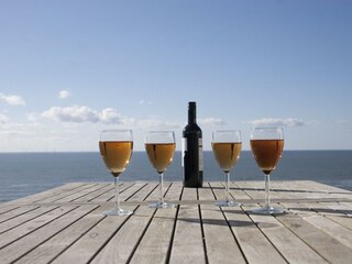 Holiday house Egmond aan Zee Outdoor Recording 25