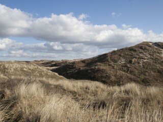 Holiday house Egmond aan Zee Outdoor Recording 29