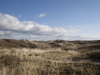 Ferienhaus Egmond aan Zee Außenaufnahme 29