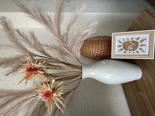 Maison de vacances Egmond aan Zee Enregistrement extérieur 5