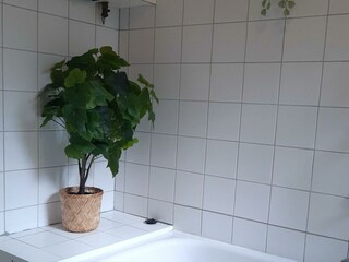 Vakantiehuis Egmond aan Zee Buitenaudio-opname 15