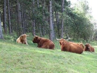 Casa de vacaciones Egmond aan Zee  26