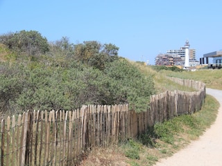 Ferienhaus Egmond aan Zee Umgebung 12